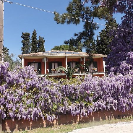 Dassia Beach Pension Kültér fotó