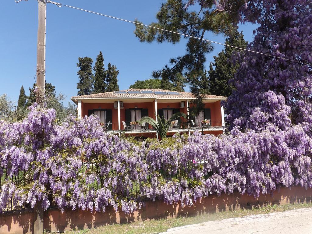 Dassia Beach Pension Kültér fotó